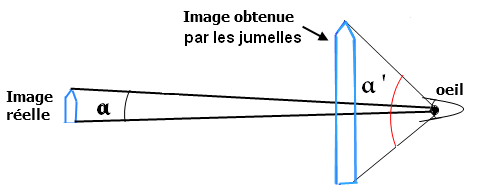 jumelles grossissement