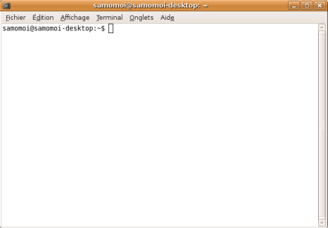 présentation d'un terminal Linux